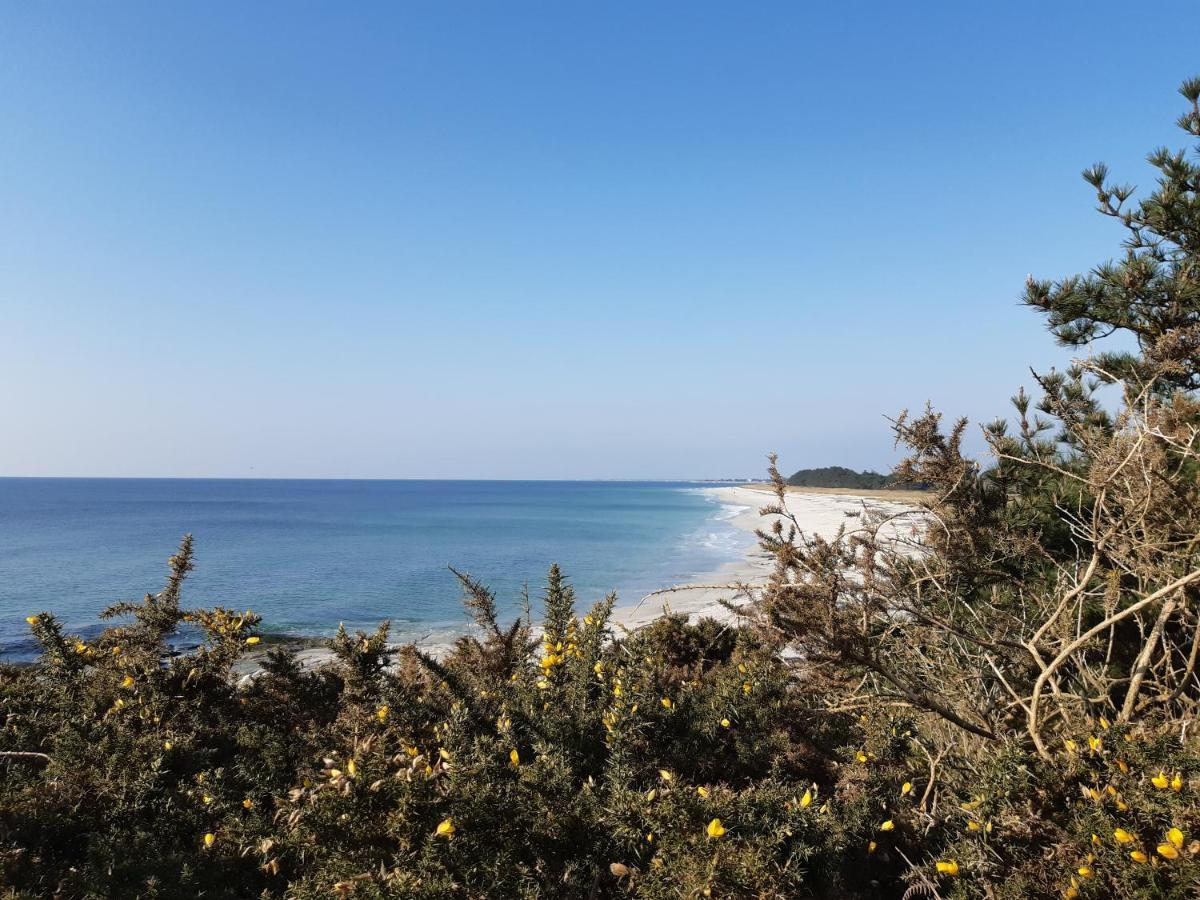 Agape, Elegant T2, 4 Etoiles, Plage Et Gr34 3Km, Centre Ville 750M Fouesnant Exterior foto